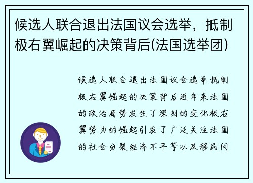 候选人联合退出法国议会选举，抵制极右翼崛起的决策背后(法国选举团)
